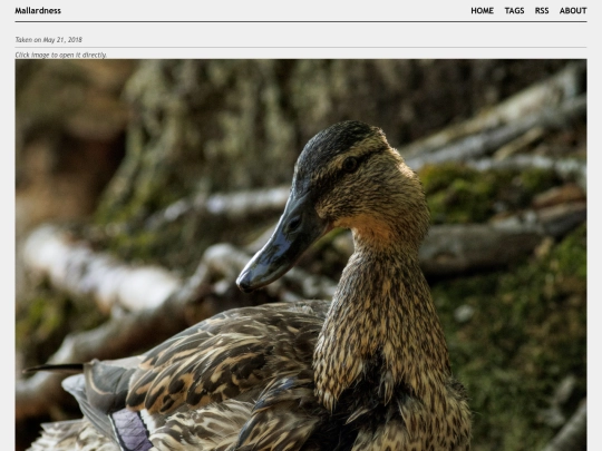 posts/2018-05-21-A5214297 screenshot