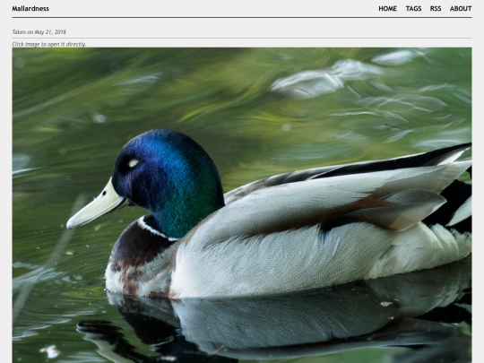 posts/2018-05-21-A5214318 screenshot