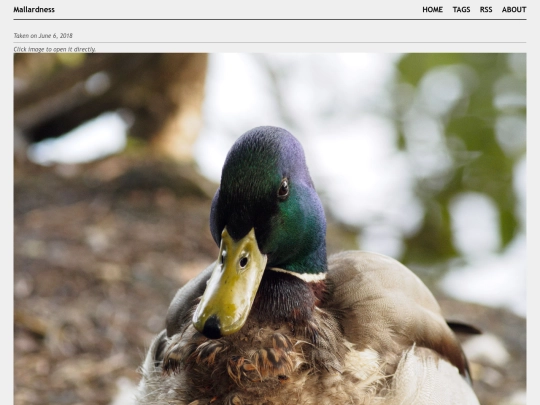 posts/2018-06-06-A6065855 screenshot
