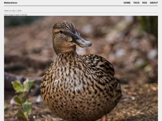 posts/2018-07-01-A7017579 screenshot