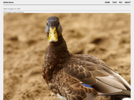 posts/2018-08-14-A8144411 screenshot