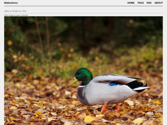 posts/2018-10-15-AA158944 screenshot
