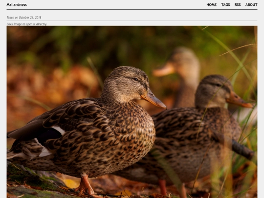 posts/2018-10-21-AA210186 screenshot