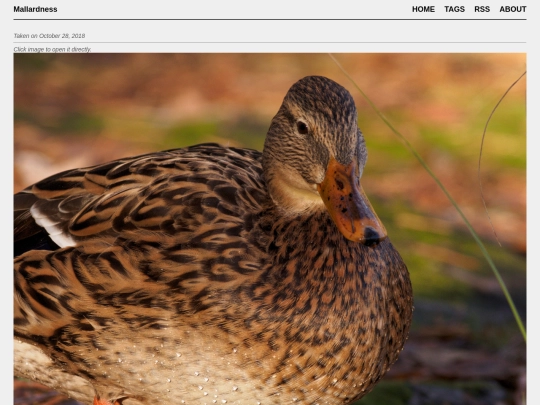 posts/2018-10-28-AA280408 screenshot