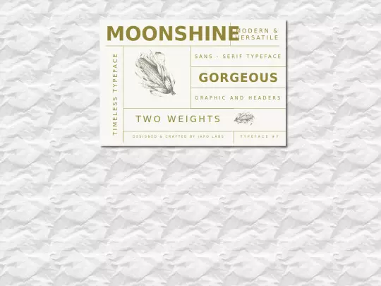 Ejercicios/Tema04/04062-moonshine screenshot