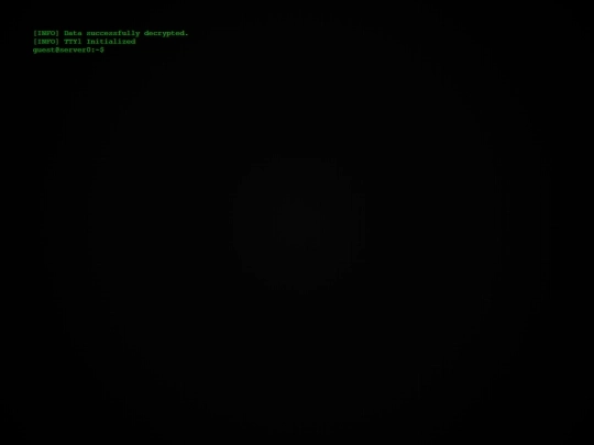 tty1 screenshot