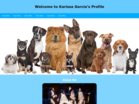 profile screenshot