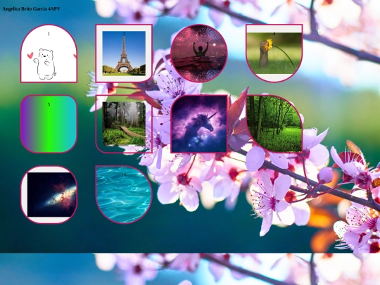 Animales/galeria screenshot