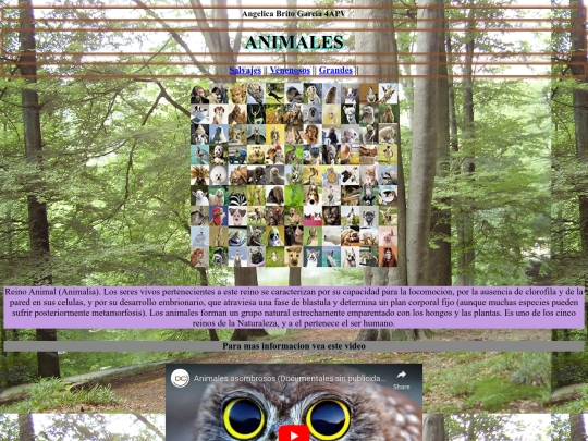 Animales screenshot