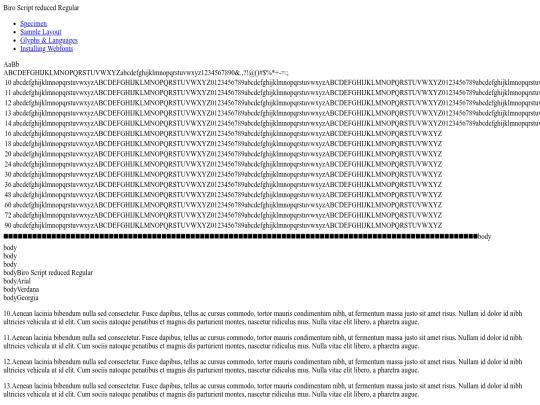 font/biro_script_reduced-demo screenshot