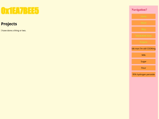 projects_home screenshot