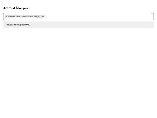 api screenshot