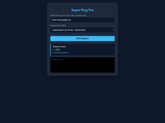 ping screenshot