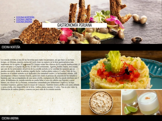 css/PAGINAWEB screenshot