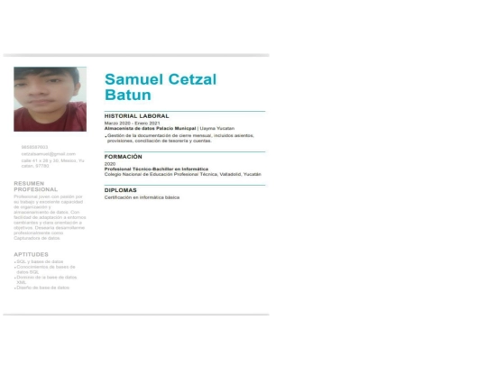 pagina_extra/curriculum screenshot