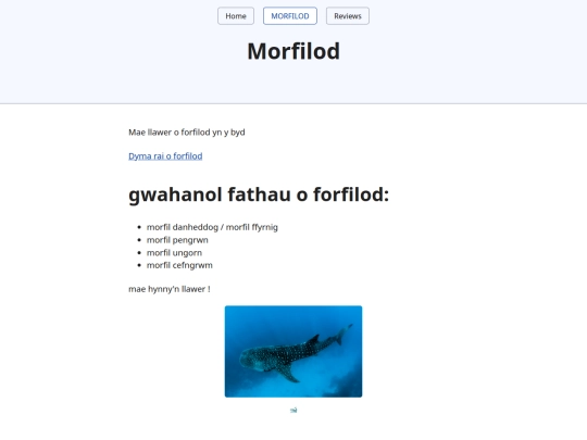 morfil screenshot