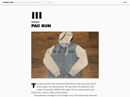 notesonthepacsunavantgarde/03-pac-sun screenshot