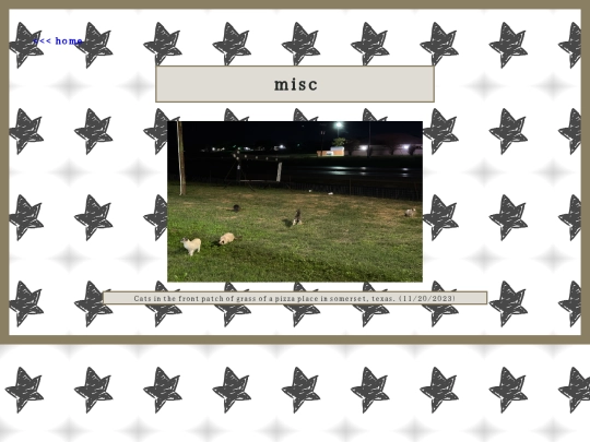 misc screenshot