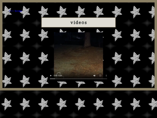 video screenshot