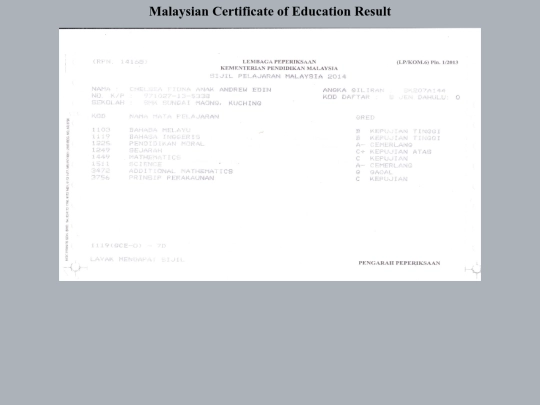pages/spm screenshot