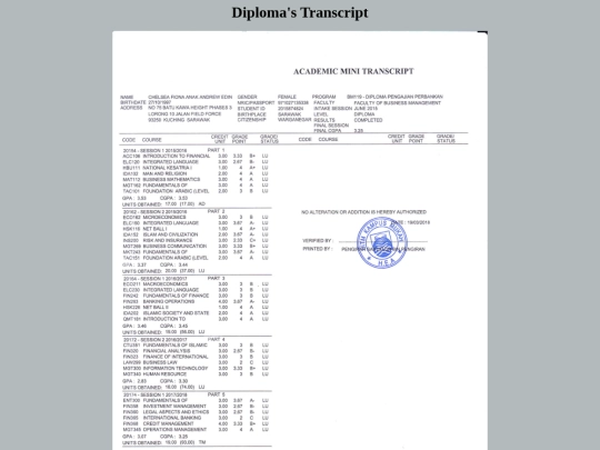 pages/transcript screenshot