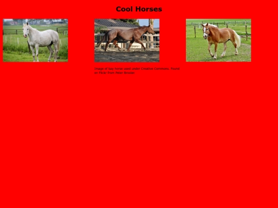 horses screenshot