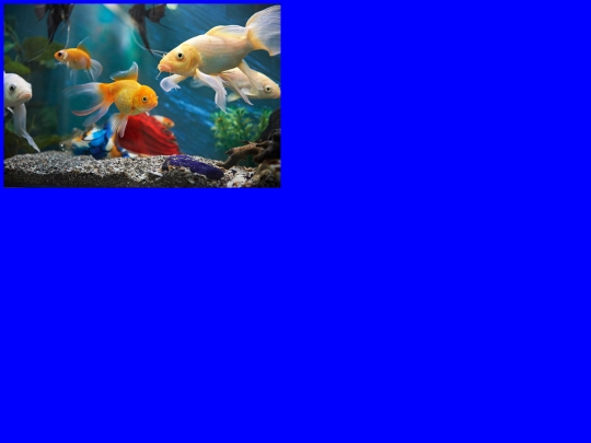 puzzle screenshot