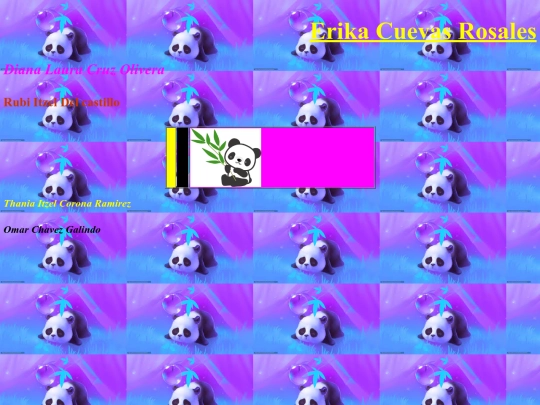 erika/Proyecto/erika screenshot
