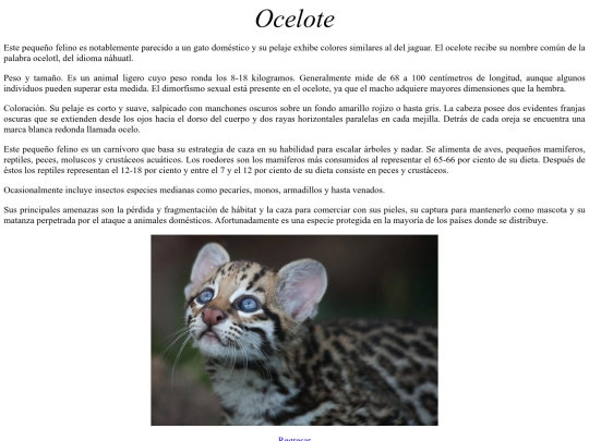 erika/proyecto 4/ocelote screenshot