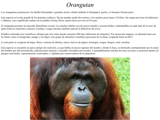 erika/proyecto 4/orangutan screenshot