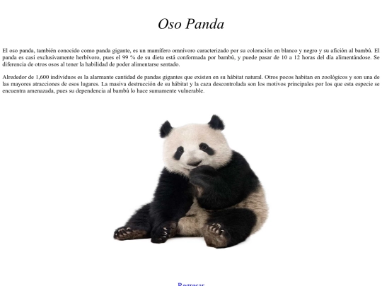 erika/proyecto 4/oso screenshot