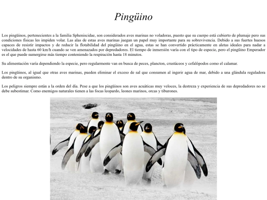 erika/proyecto 4/pinguino screenshot