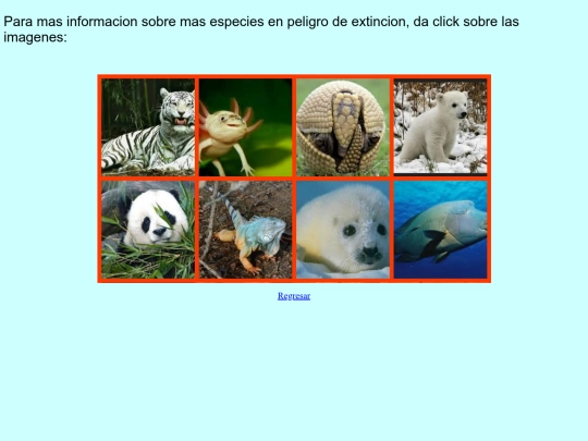 proyecto/otros screenshot