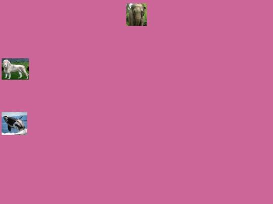 proyecto/rosa screenshot
