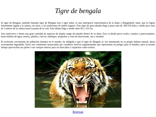 proyecto/tigre screenshot