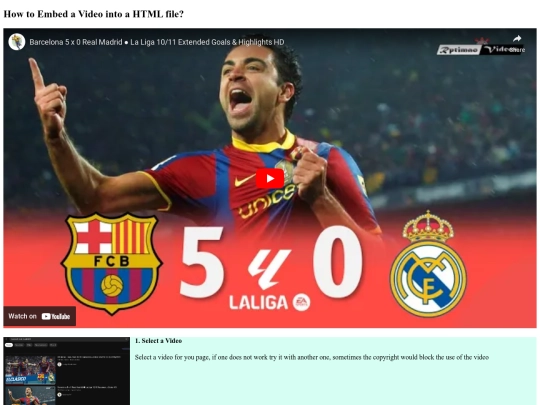videob screenshot