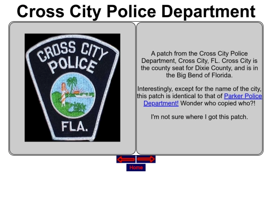 Local_Patches_Board1/CrossCityFLPD screenshot