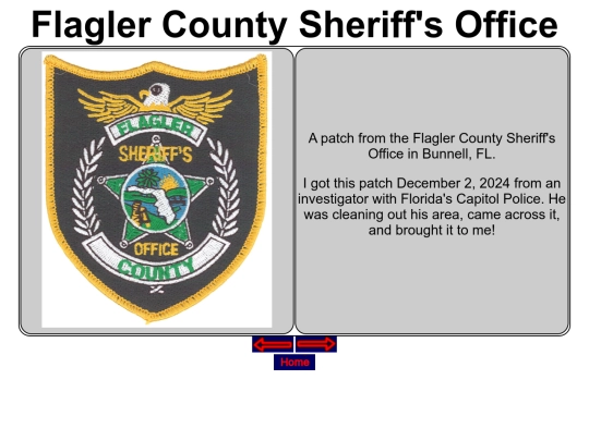 Local_Patches_Board1/FlaglerCountyFLSO screenshot