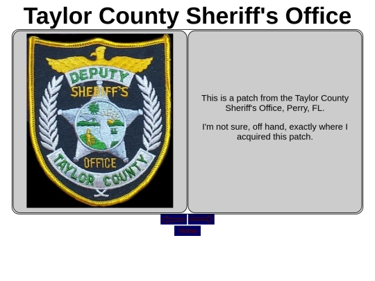 Local_Patches_Board1/TaylorCountyFLSO screenshot