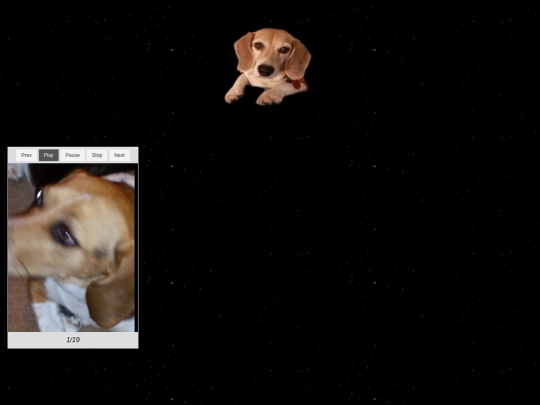 Maggie_new screenshot