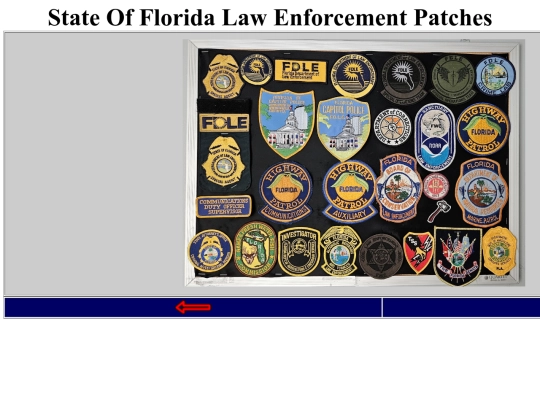 StateLawEnforcementPatchBoard_new screenshot