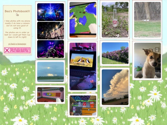 pages/photobook screenshot