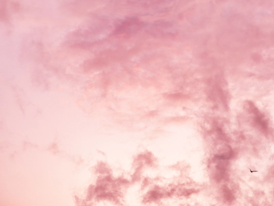 media screenshot