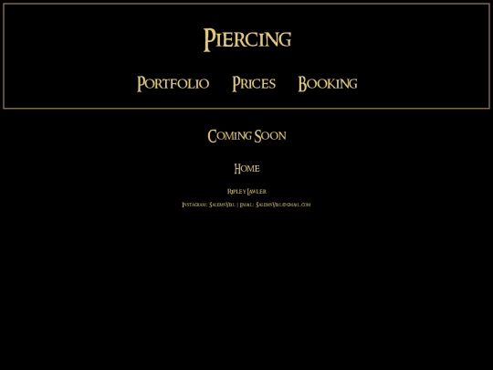 BookingPiercing screenshot