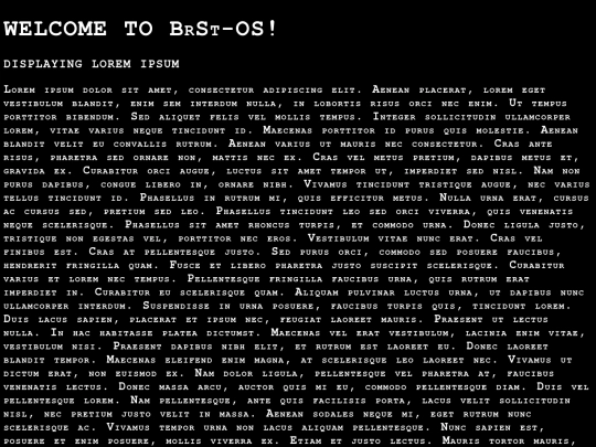BrSt-OS/2 screenshot
