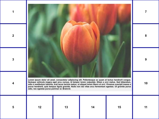 WEEK4/grid loro screenshot