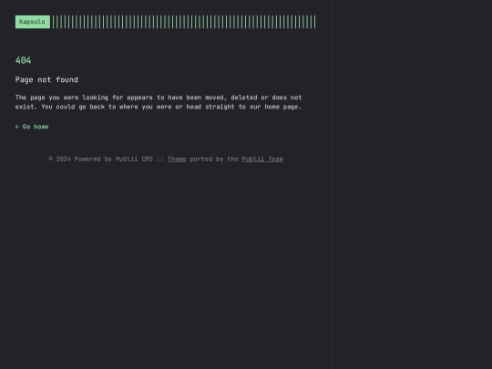 404 screenshot