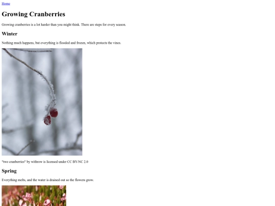 cranberries screenshot
