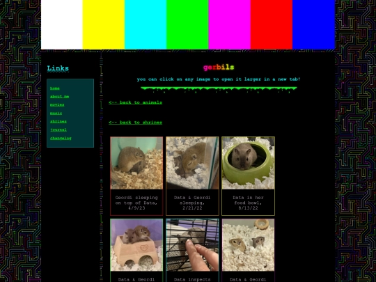 shrines/animals/gerbils screenshot