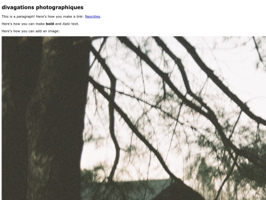 divagations_photographiques screenshot